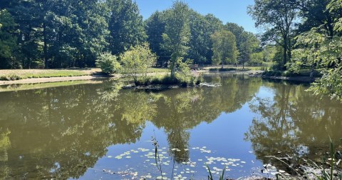 With A Playground, Farm Animals, And A Pond, This Massachusetts Park Is the Ultimate Family Destination