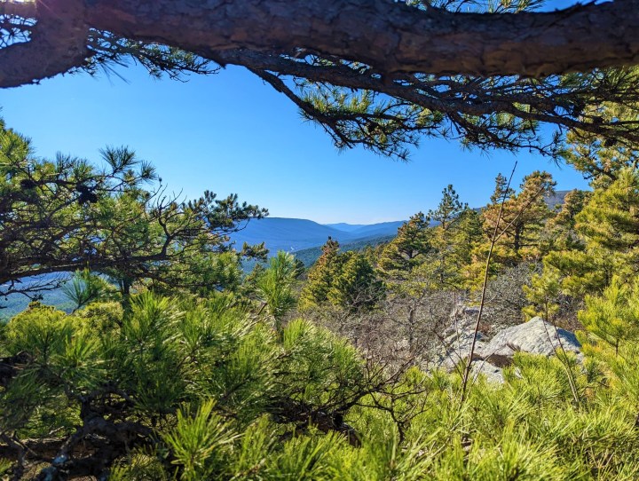 remote hiking trail in Arkansas