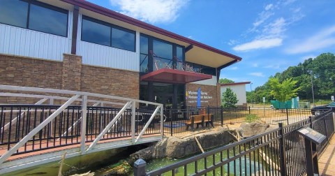 Play With Aquatic Animals At This Arkansas Fish Hatchery For An Absolutely Adorable Adventure