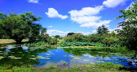 The Indiana Arboretum Worth Driving Across The State To Explore