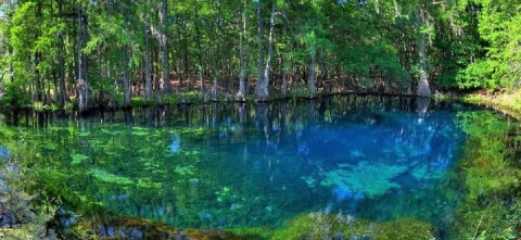 The Rural Florida Spring Is The Perfect Place To Make A Splash This Summer