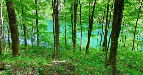 The Rugged And Remote Hiking Trail In North Carolina That Is Well-Worth The Effort