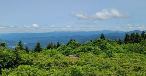 The North Carolina Trail With Forests, A Waterfall, And An Overlook You Just Can't Beat