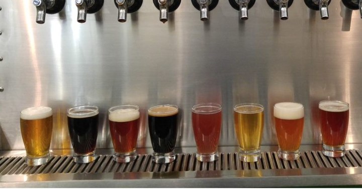 Draft beers at Island Dog Brewing