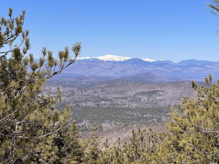 Mt Washington View from Burnt Meadow Mountain Trail