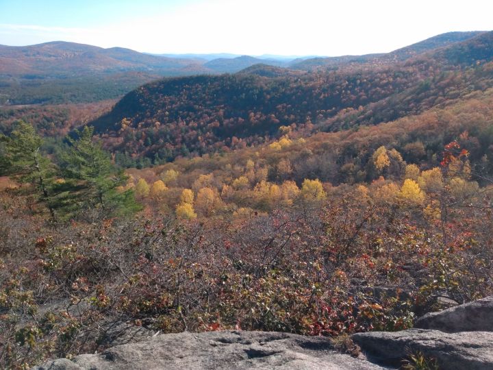 Foliage on Burnt Meadow Mountain Trail