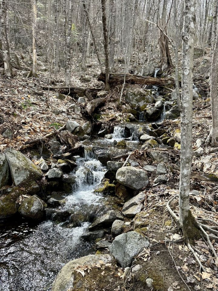 Little waterfalls on Burnt Meadow Mountain Trail