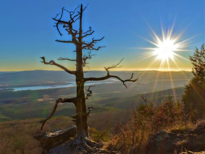 solar eclipse in Arkansas