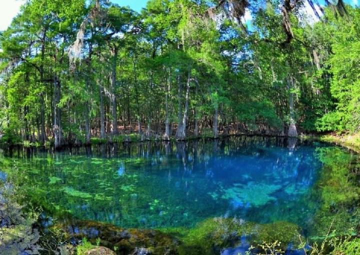 prettiest springs in Florida