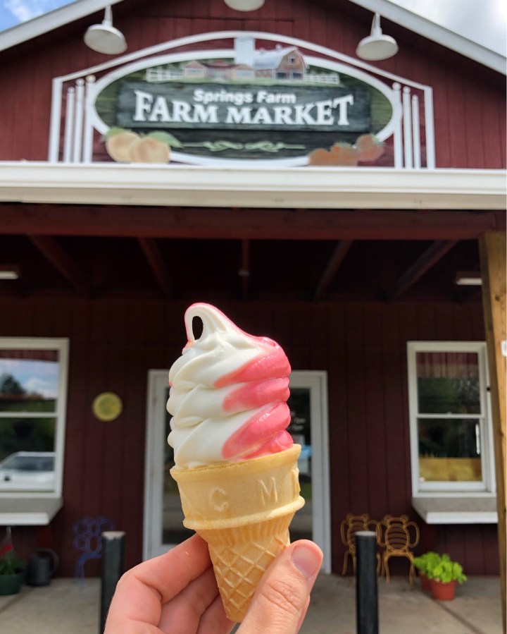 Homemade Ice Cream in South Carolina