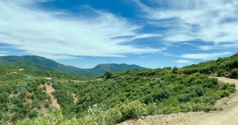 Senator Highway Is A Back Road You Didn't Know Existed But Is Perfect For A Scenic Drive In Arizona