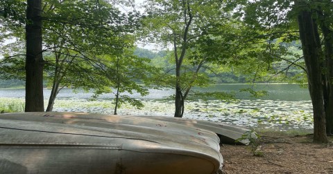 With A Huge Lake, A Nature Center, And Miles Of Trails, This Park In Maryland Is An Outdoor Paradise