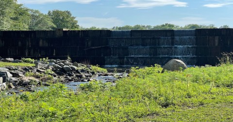 This Suburban Maryland Lake And Trail Is One Of The Best Places To View Summer Wildflowers