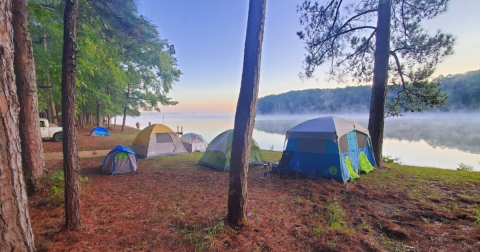 The 21 Best Campgrounds In Louisiana: Top-Rated & Hidden Gems