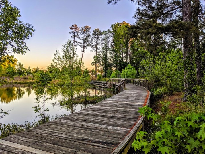 hiking and wine tasting in Arkansas