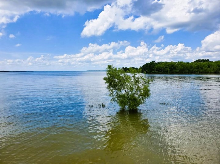 Lake Tawakoni State Park