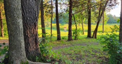 Often Mistaken For The State Park, Big Creek Wildlife Area Is An Iowa Hidden Gem