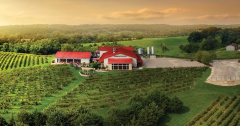 With More Than 10 Acres Of Vines, Cedar Ridge Winery Is Also The Largest Distillery In Iowa