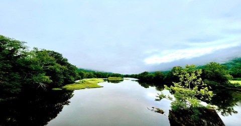 The Incredible River Experience In West Virginia Where You Can Spot Bald Eagles