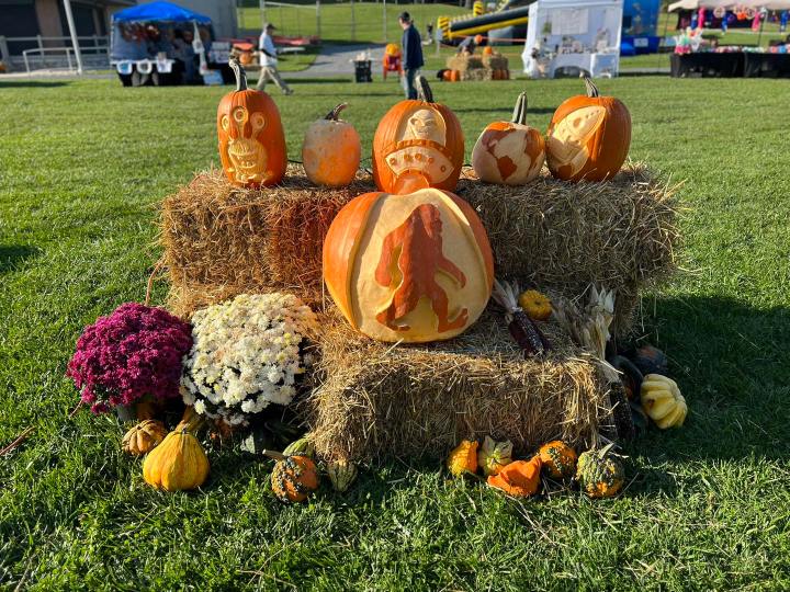 Expertly carved pumpkins sit on haystacks.