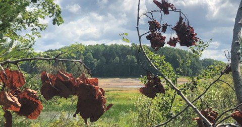 There's A Little-Known Nature Trail Just Waiting For Wisconsin Explorers