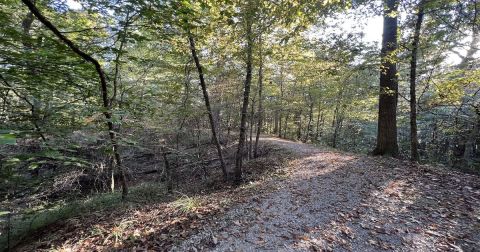 The 6-Mile Port Hudson Trail Might Just Be The Most Enchanting Hike In Louisiana