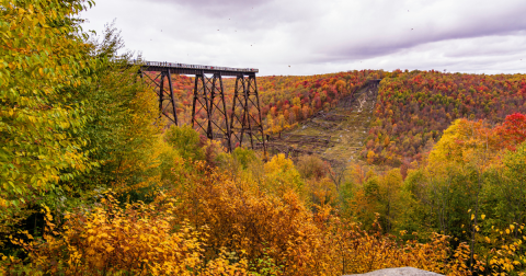 Here Are The Best Times And Places To View Pennsylvania’s Fall Foliage In 2023