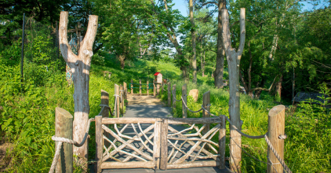 This Remote Trail In This Kentucky State Park Is A Wonderful Place To Escape