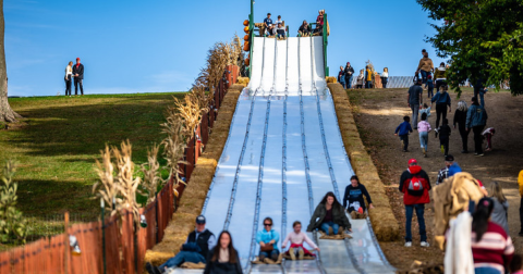 If There's One Fall Festival You Attend Near Cleveland, Make It The Johnny Appleseed Festival