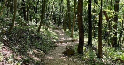 The 5-Mile Jones Run Falls Trail Might Just Be The Most Enchanting Hike In Virginia