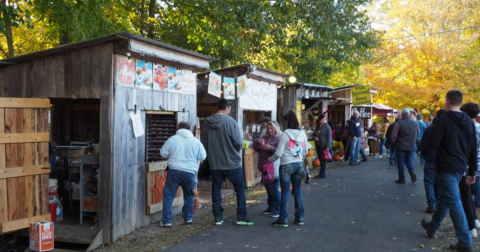 This Wool Festival In Central Kentucky Has Been Going Strong Since 1983