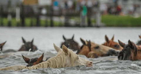 17 Photos You'll Only Understand If You Hail From Virginia