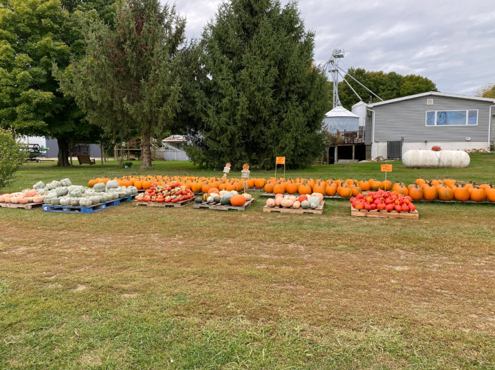 Fall day trips in Michigan