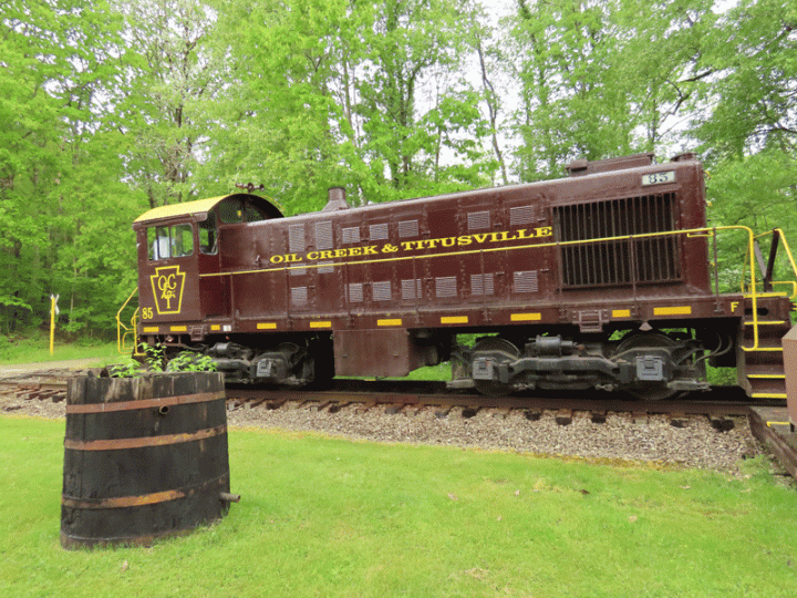 A train surrounded by greenery.