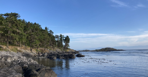 The San Juan Island Hike Worth Taking The Ferry To Explore