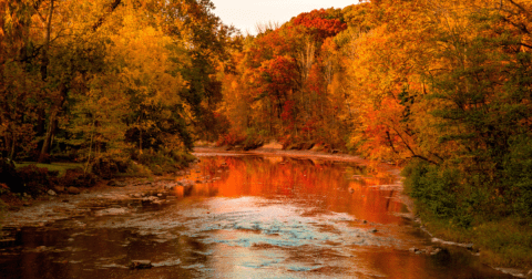 Here Are The Best Times And Places To View Ohio's Fall Foliage In 2023