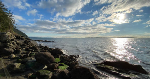 Before Word Gets Out, Visit Washington's Newest Hike At Larrabee State Park