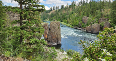 The Entire Family Will Love This Short And Simple Hike In Washington