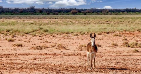 The Most Remote State Park In Arizona Is The Perfect Place To Escape