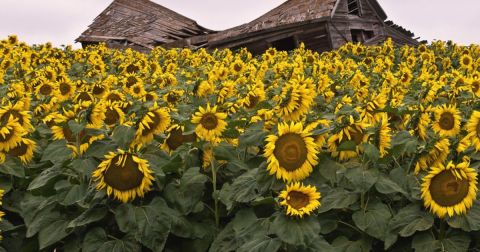 6 Photos You'll Only Understand If You Hail From North Dakota