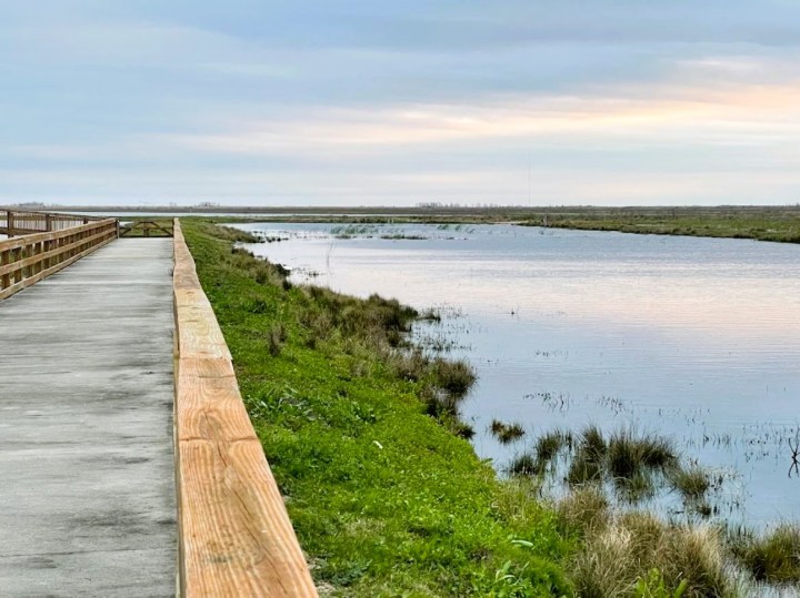 Anahuac National Wildlife Refuge