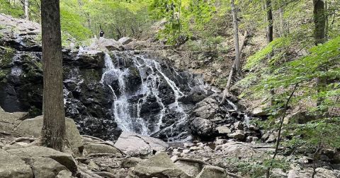 The 3.5-Mile Vista Loop Trail Might Just Be The Most Enchanting Hike In New Jersey