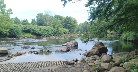 Before Word Gets Out, Visit Connecticut's Newest City Park