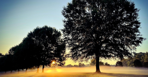 With A Disc Golf Course, Playground, And A Paved Trail, This Georgia Park Is the Ultimate Family Destination