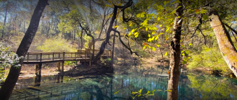 The Incredible Geological Area In Florida Where You'll See Sinkholes, Caves, And More