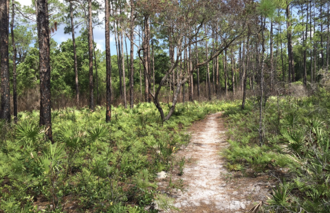 The Rugged And Remote Hiking Trail In Florida That Is Well-Worth The Effort