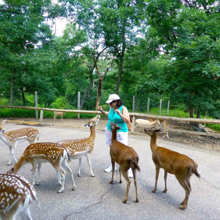 Wisconsin Deer Park