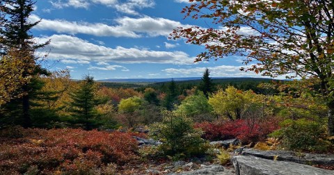 The 11-Mile Blackbird Knob Loop Trail Might Just Be The Most Enchanting Hike In West Virginia