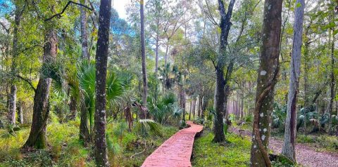 The Most Remote State Park In Florida Is The Perfect Place To Escape