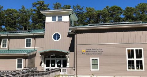 The Coolest Visitor Center In North Carolina Has A Virtual Airplane Ride Where You Can See Wild Animals